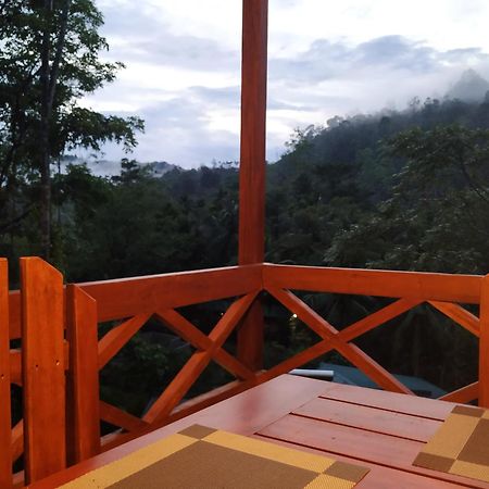 Sinharaja Forest Gate デニヤヤ エクステリア 写真