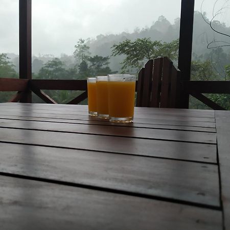 Sinharaja Forest Gate デニヤヤ エクステリア 写真
