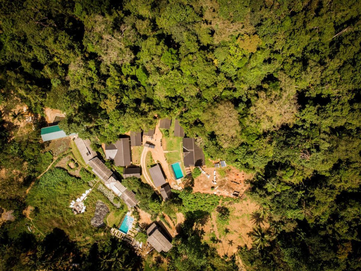 Sinharaja Forest Gate デニヤヤ エクステリア 写真