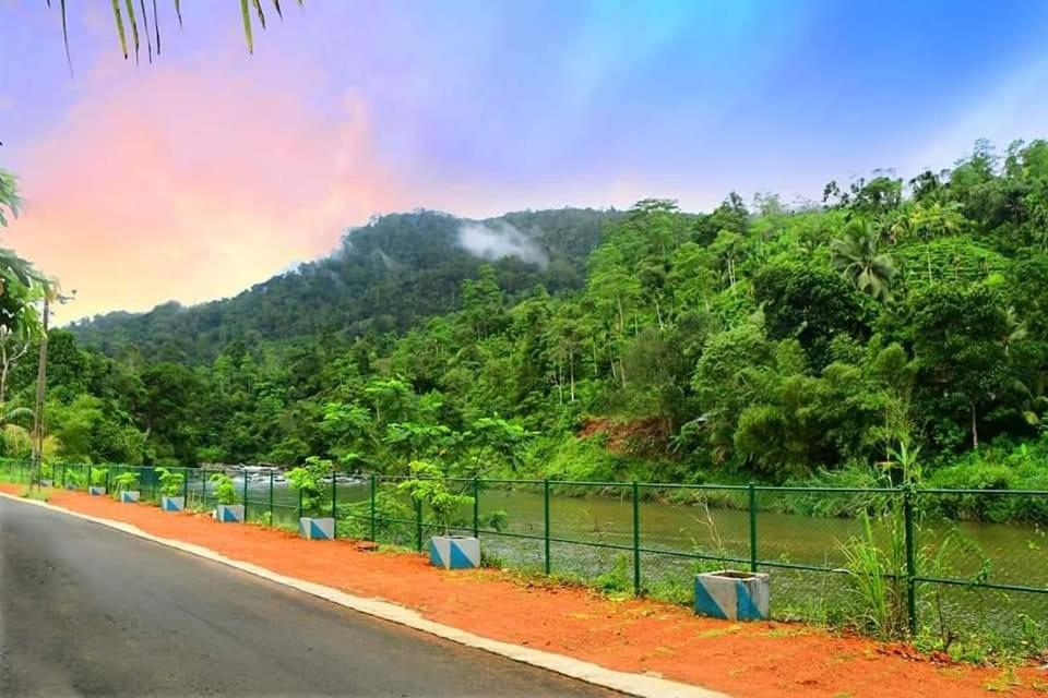 Sinharaja Forest Gate デニヤヤ エクステリア 写真