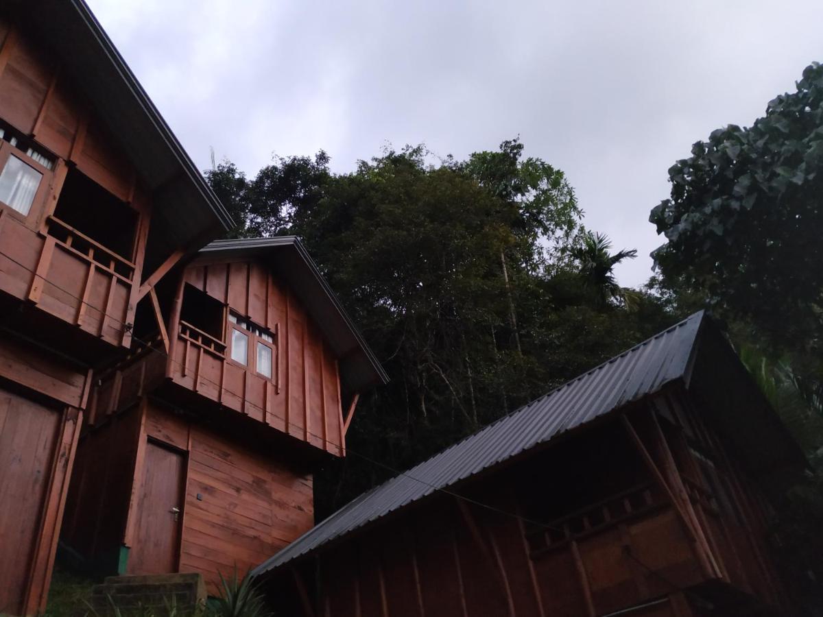 Sinharaja Forest Gate デニヤヤ エクステリア 写真