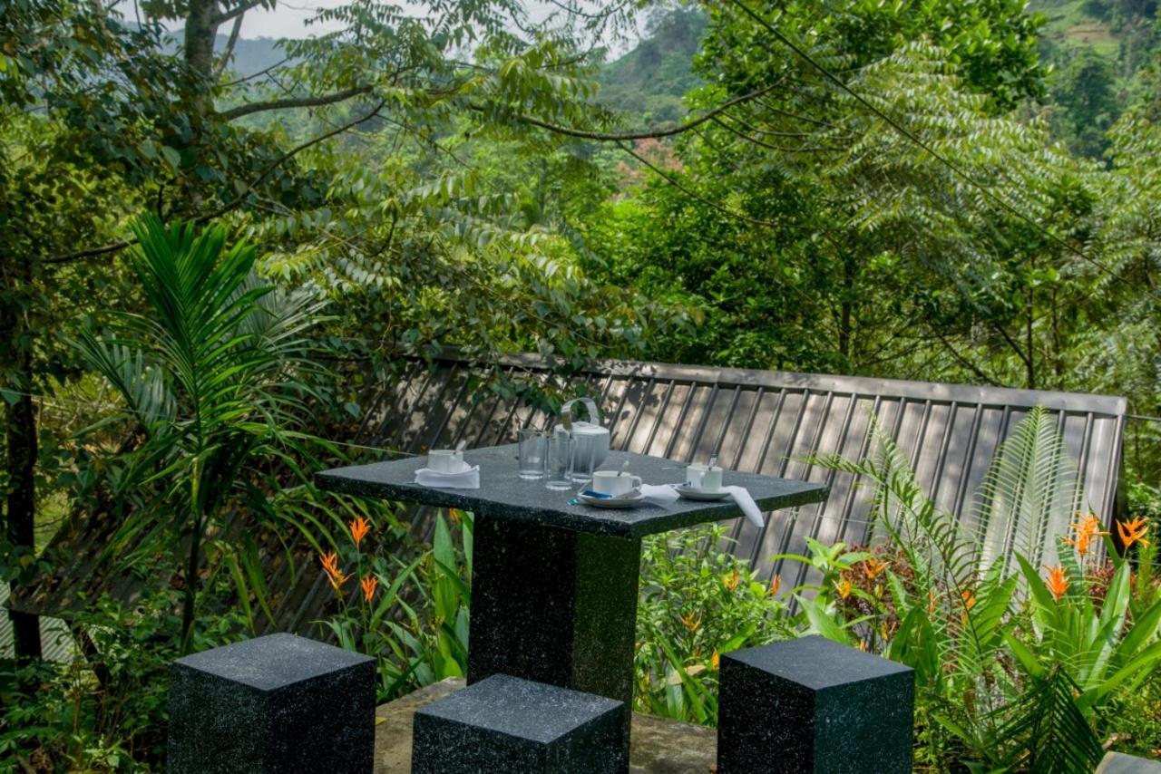 Sinharaja Forest Gate デニヤヤ エクステリア 写真