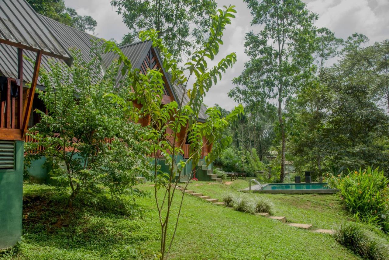 Sinharaja Forest Gate デニヤヤ エクステリア 写真