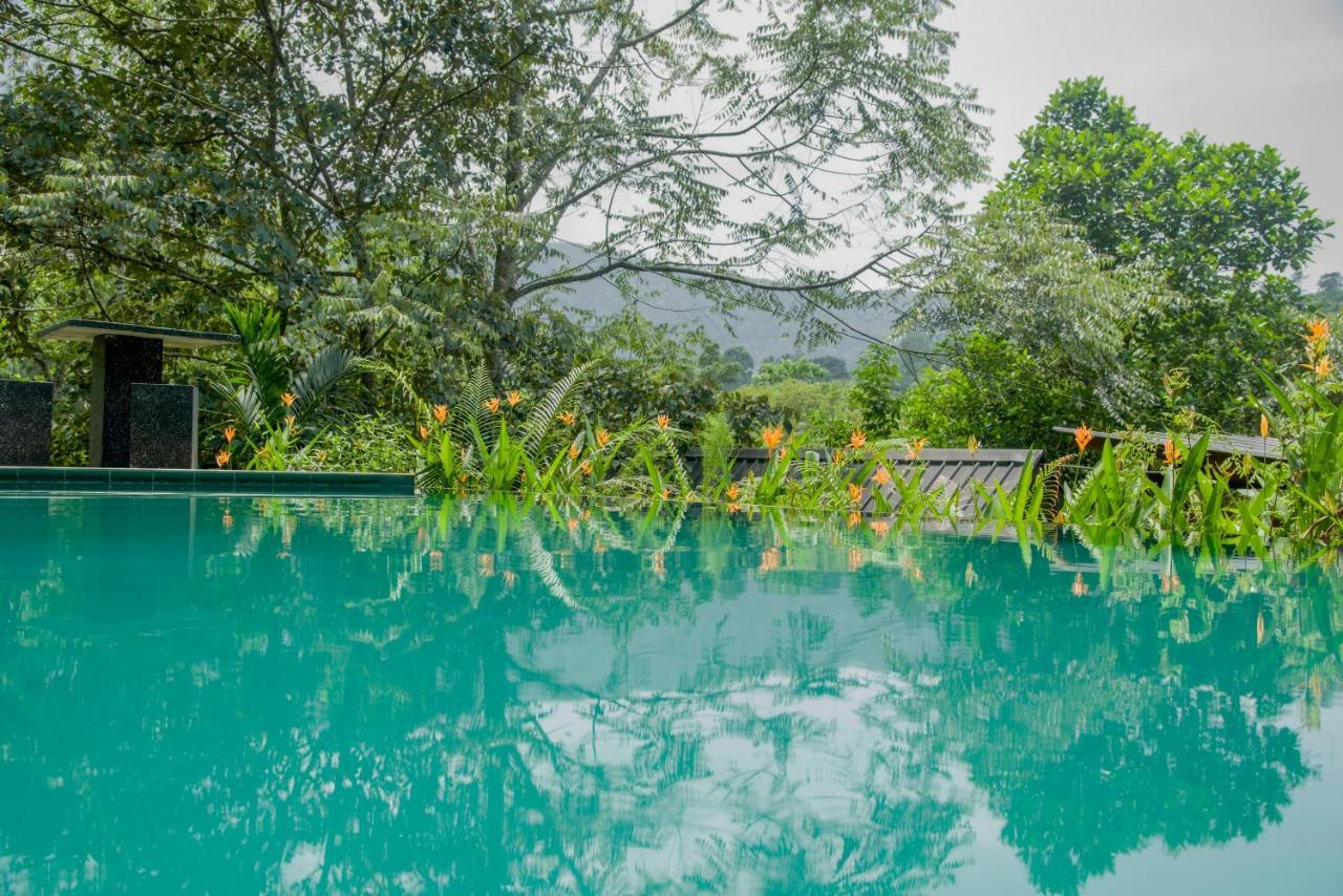 Sinharaja Forest Gate デニヤヤ エクステリア 写真