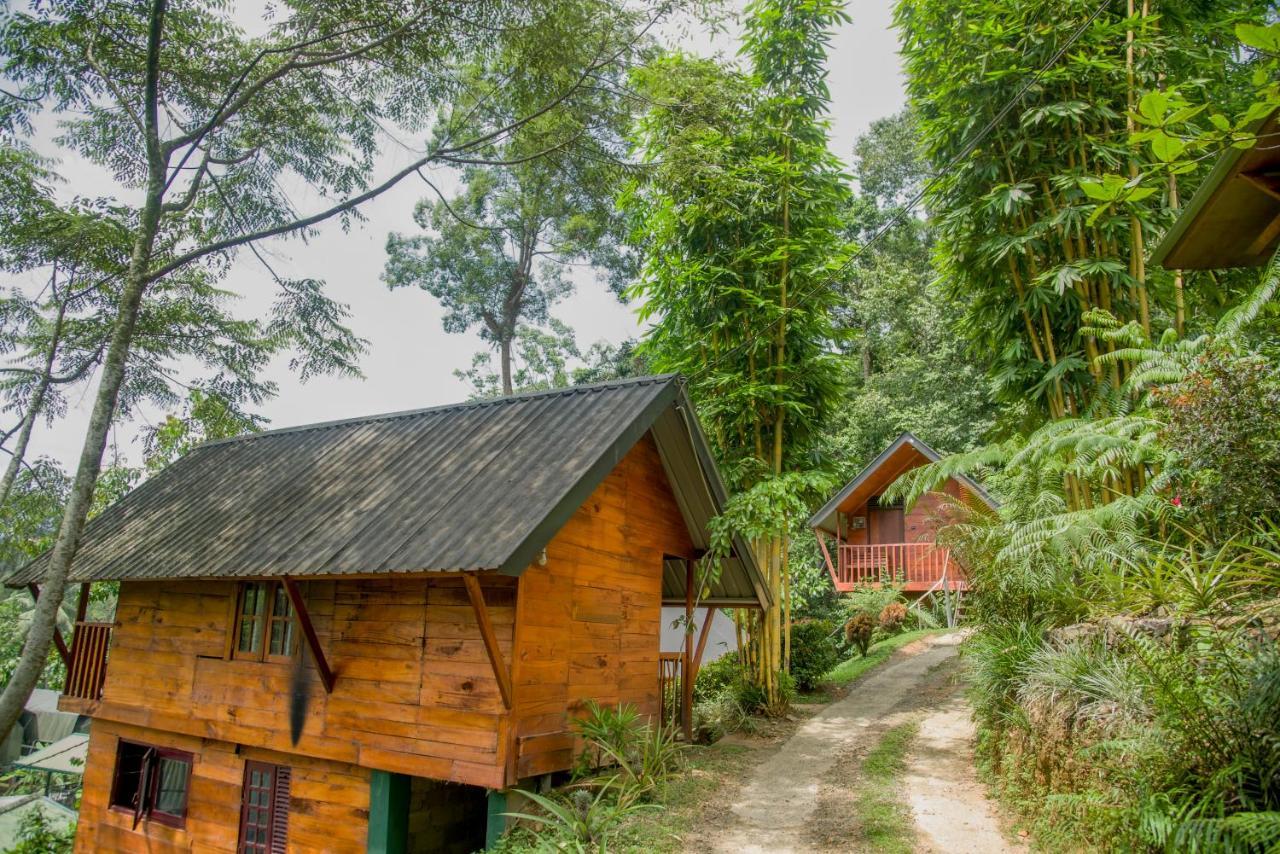 Sinharaja Forest Gate デニヤヤ エクステリア 写真
