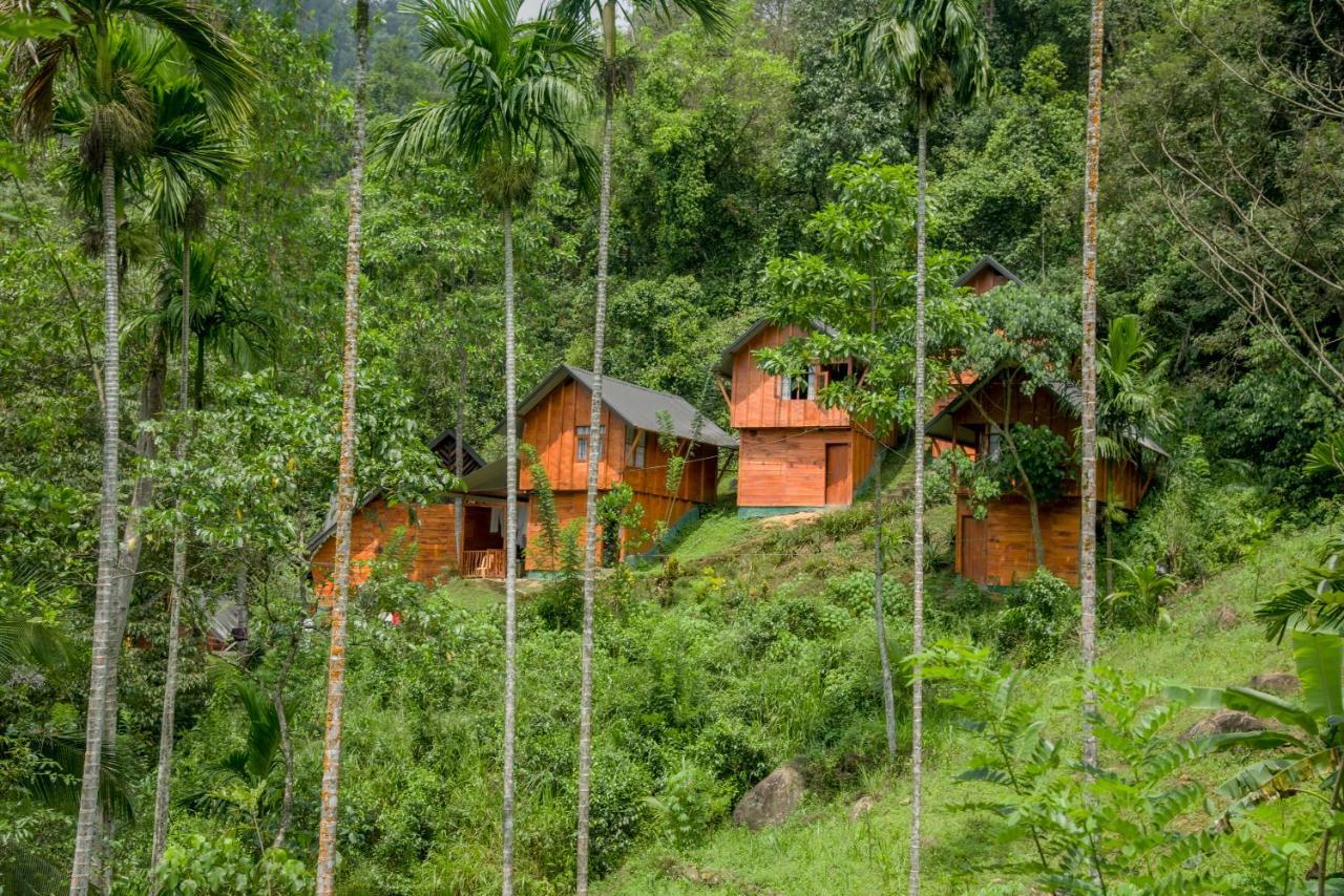 Sinharaja Forest Gate デニヤヤ エクステリア 写真