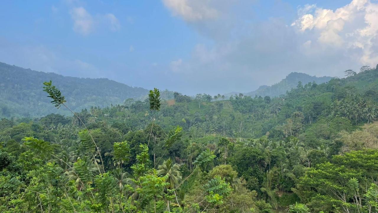 Sinharaja Forest Gate デニヤヤ エクステリア 写真