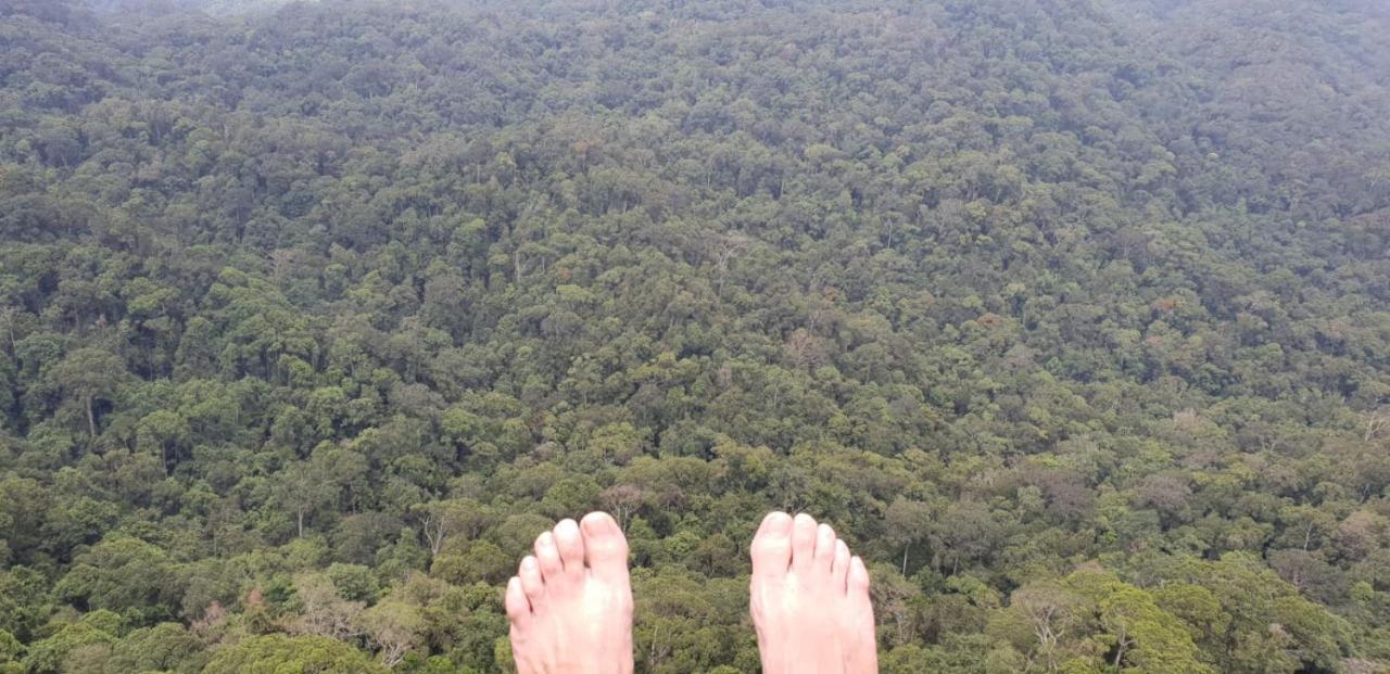 Sinharaja Forest Gate デニヤヤ エクステリア 写真
