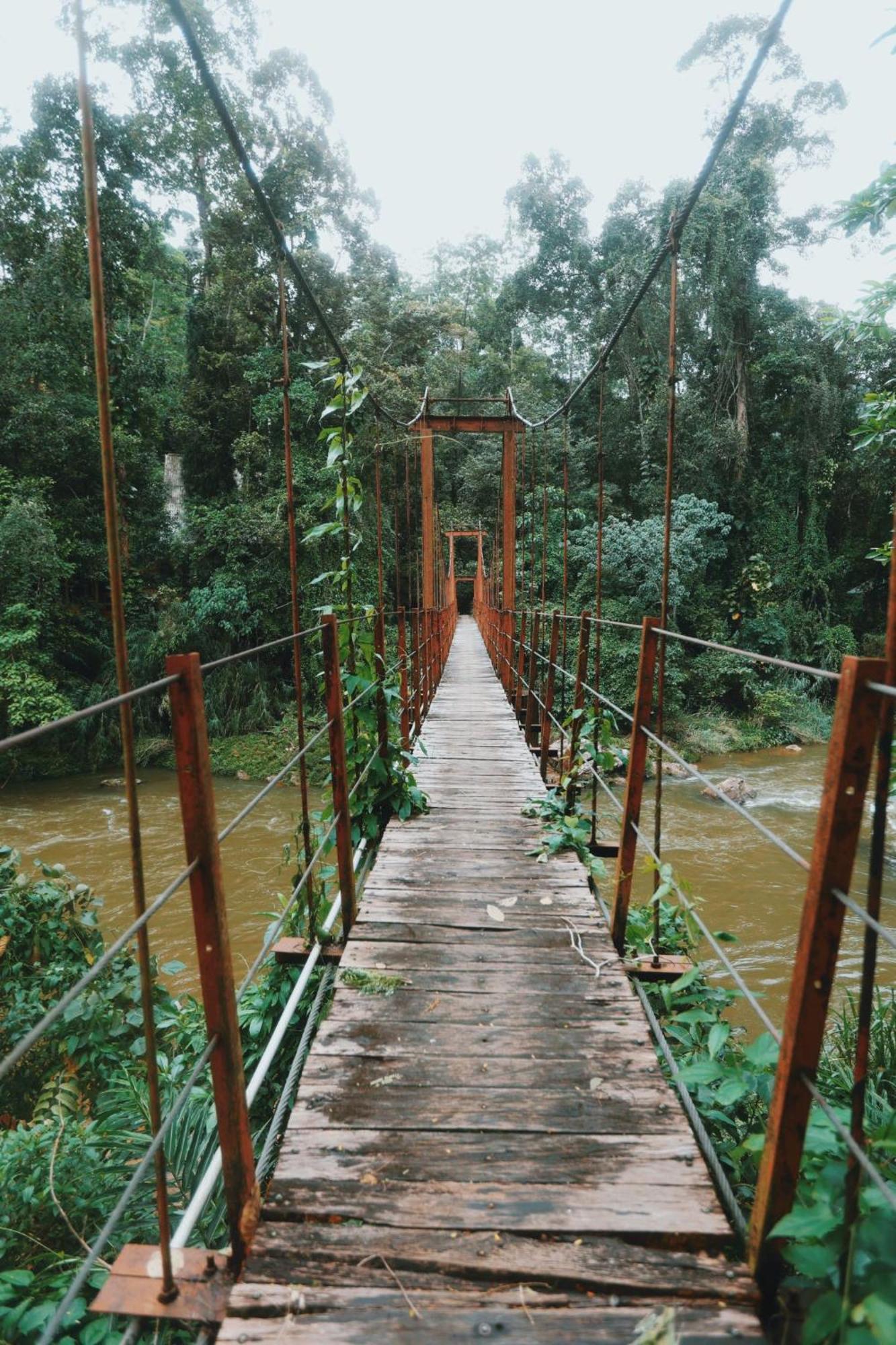 Sinharaja Forest Gate デニヤヤ エクステリア 写真