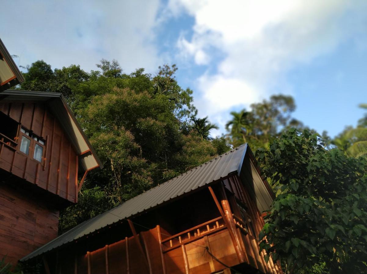 Sinharaja Forest Gate デニヤヤ エクステリア 写真